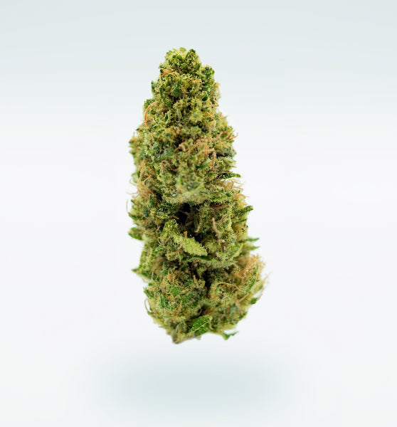 CBD Aromablüte "Future Lemon Haze"