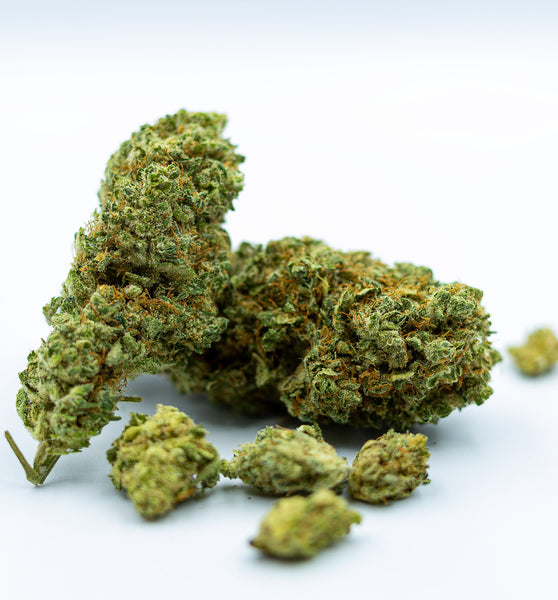 CBD Aromablüte "Gelato 33"