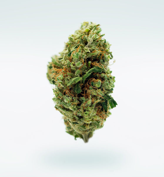 CBD Aromablüte "Gelato 33"