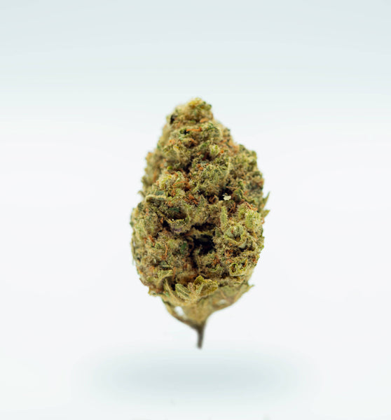 CBD Aromablüte "Ice Cream Man"